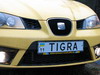 -Tigra-