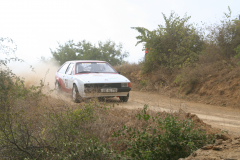 IMG-7755.JPG