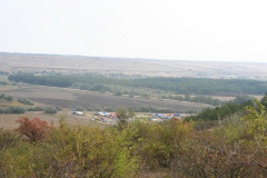 IMG-7767.JPG