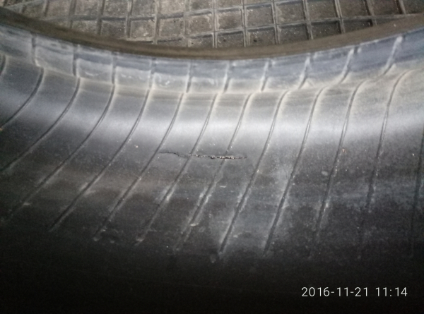 P61121-111422.jpg