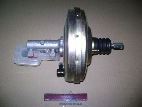 img033012.jpg