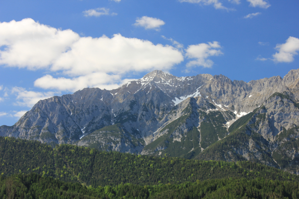 IMG_8561.JPG
