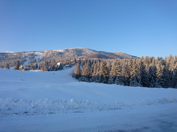 DSC_0038.JPG