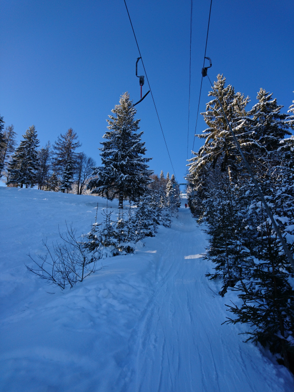 DSC_0050.JPG
