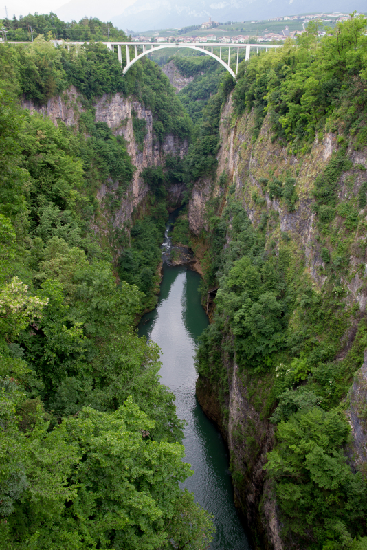 IMG_5255_1.jpg