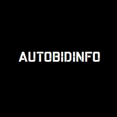 Autobidinfo